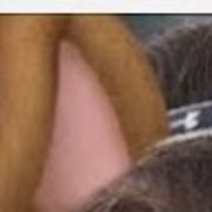 Meet your Posher, Mason